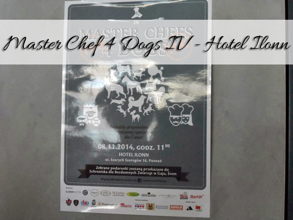 Master Chef 4 Dogs IV - Hotel Ilonn