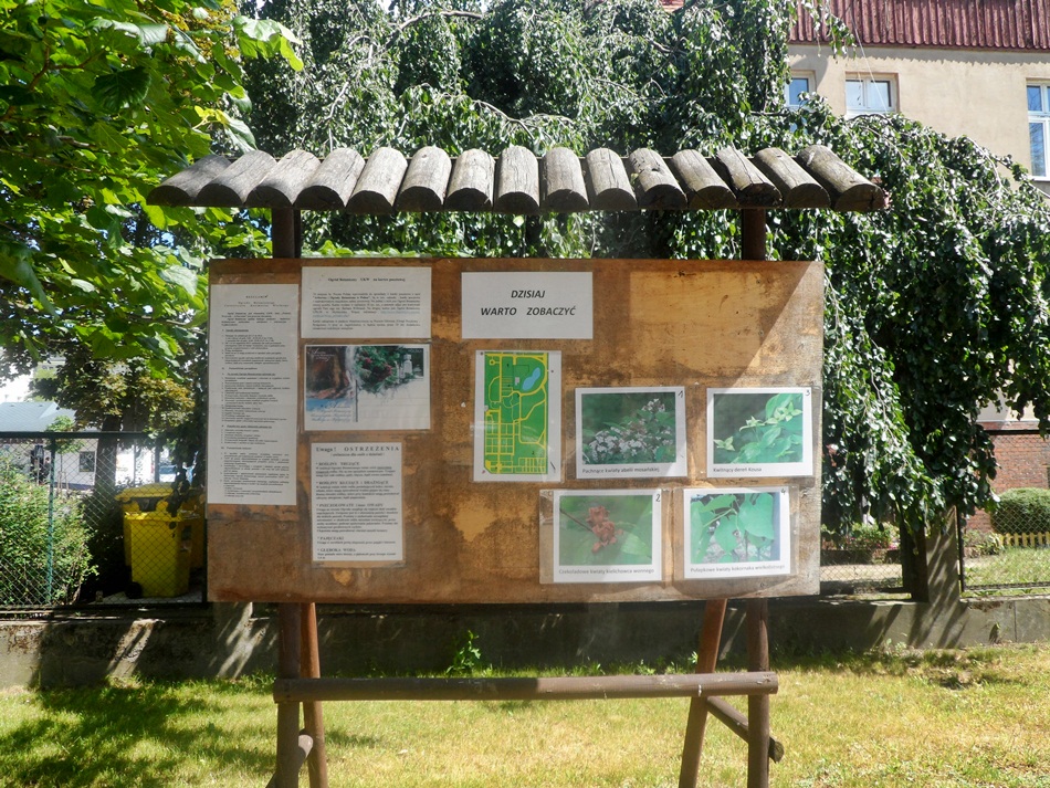 Ogród Botaniczny UKW w Bydgoszczy