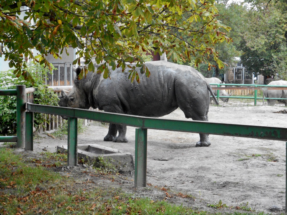 Śląski Ogród Zoologiczny w Katowicach