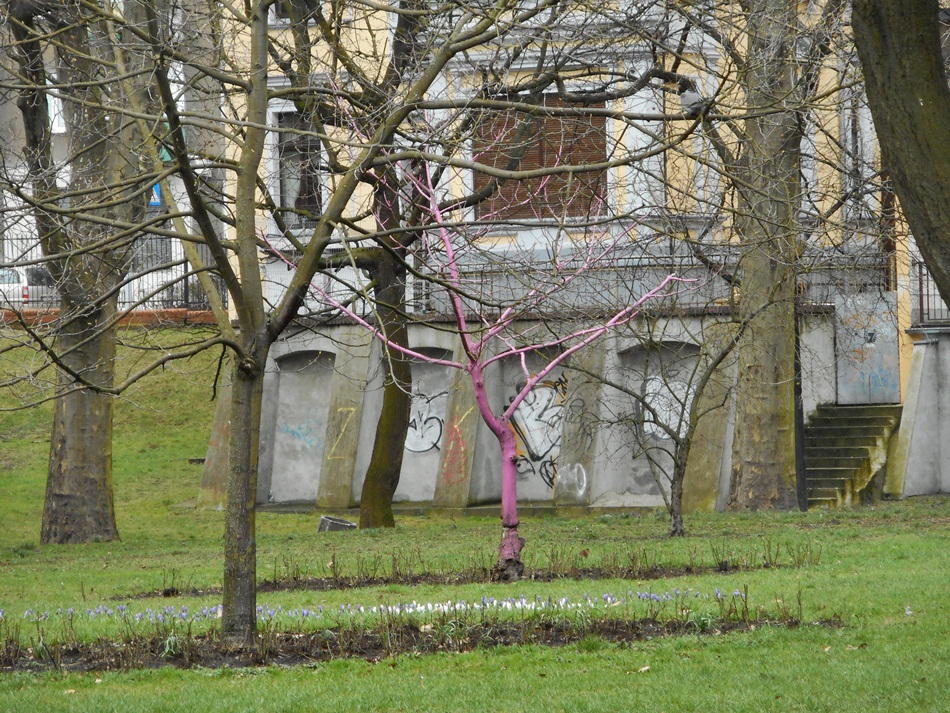 Park Wiosny Ludów w Gorzowie Wielkopolskim