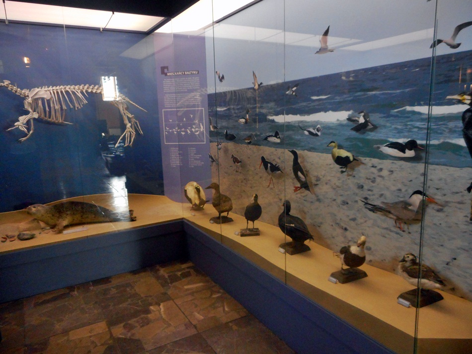 Muzeum Rybołówstwa na Helu