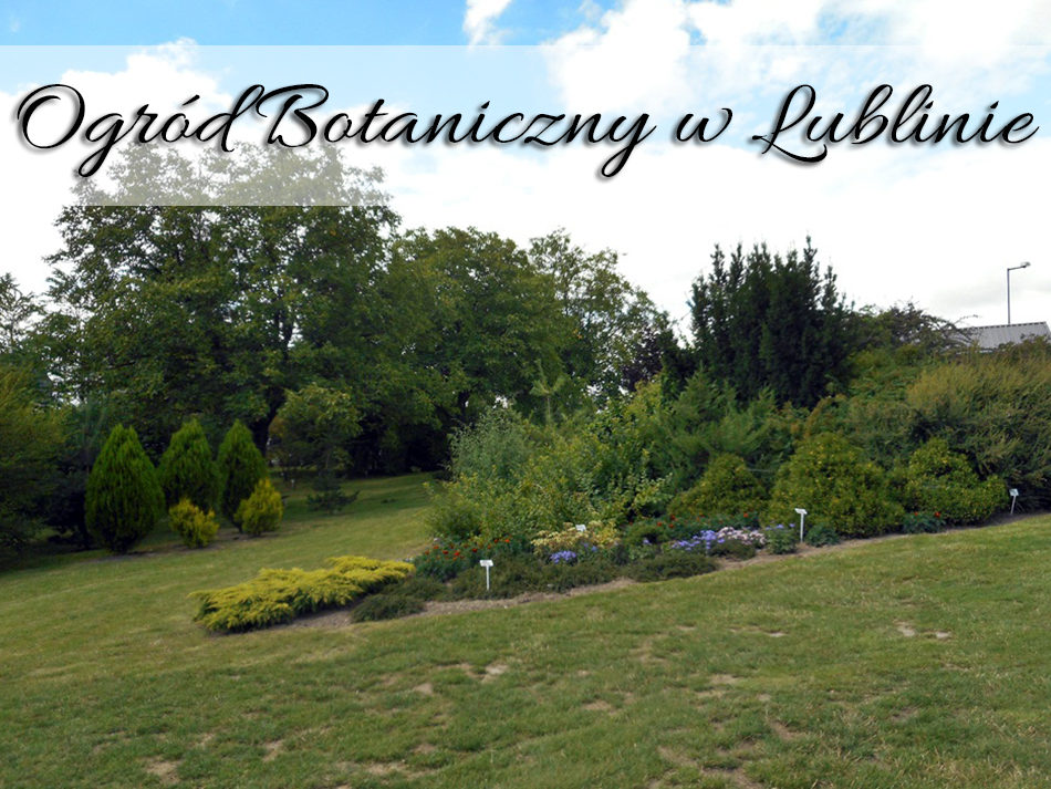 Ogród Botaniczny w Lublinie