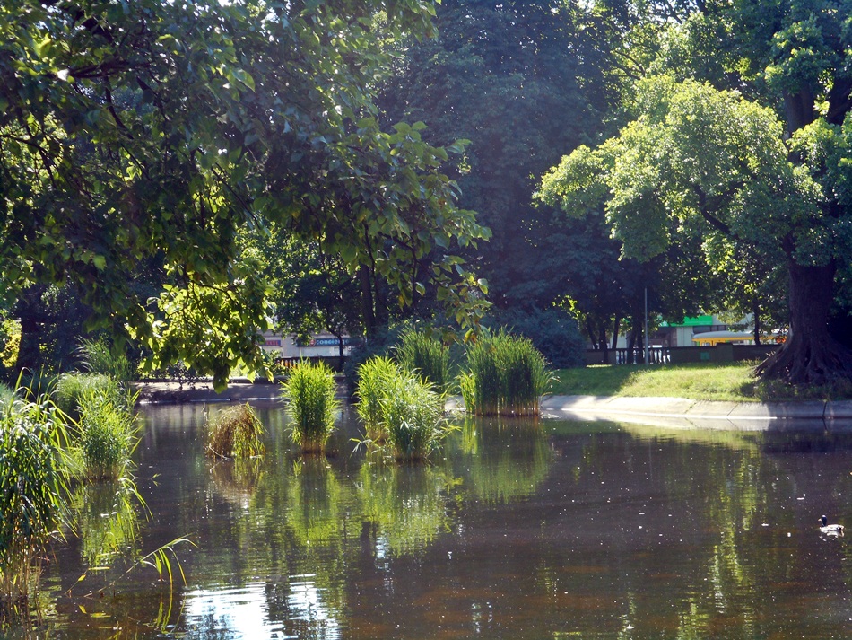 Park Wilsona w Poznaniu