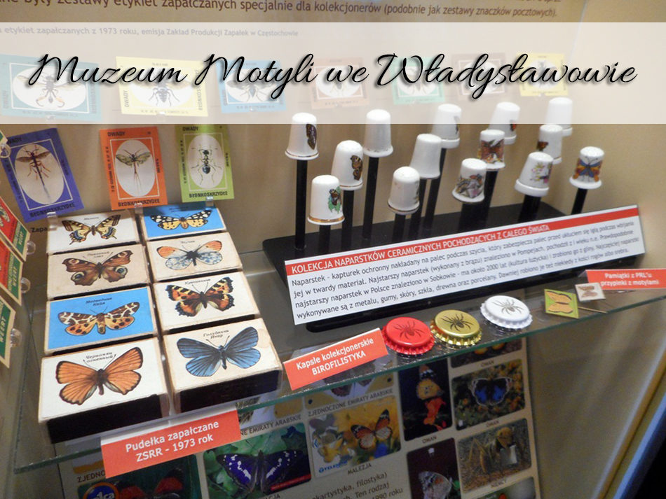 Muzeum Motyli we Władysławowie
