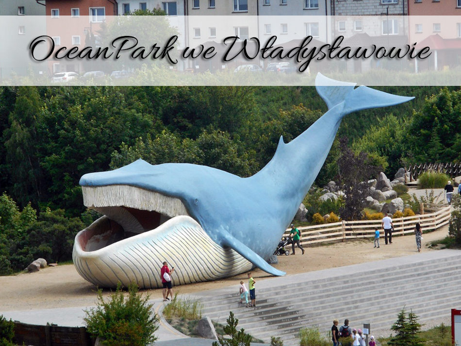 OceanPark we Władysławowie