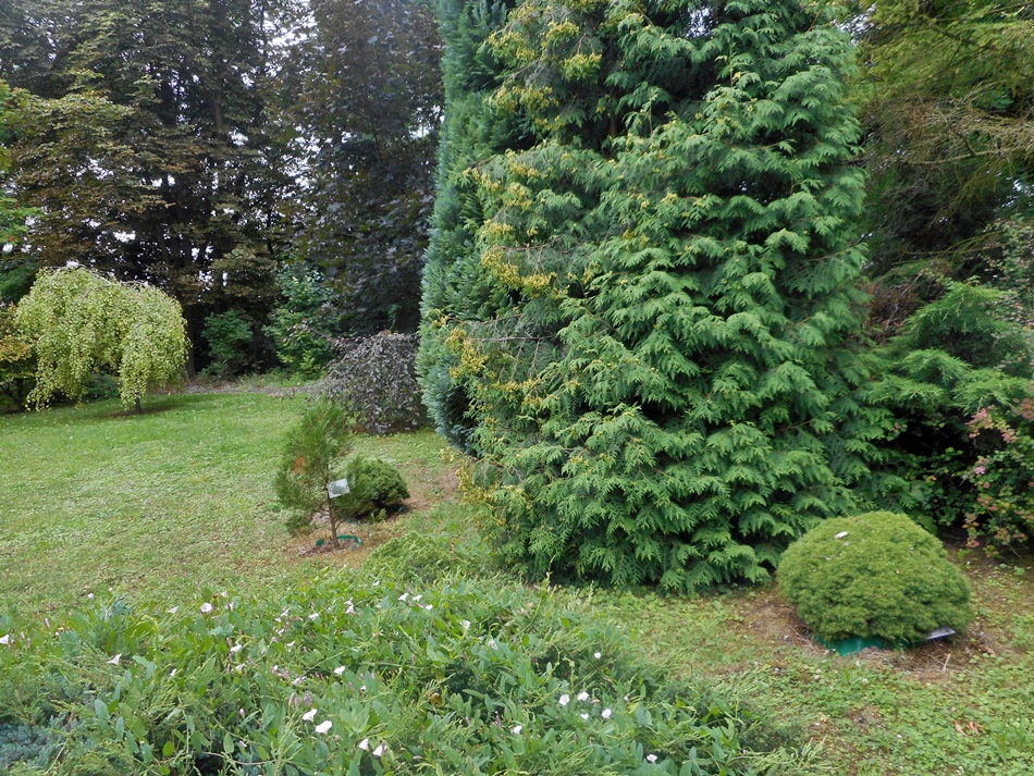 Ogród Botaniczny w Sandomierzu