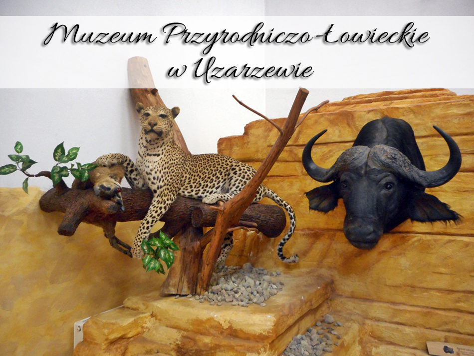 Muzeum Przyrodniczo-Łowieckie w Uzarzewie
