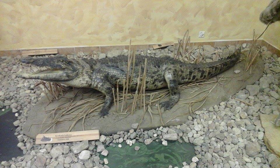 Muzeum Przyrodniczo-Łowieckie w Uzarzewie