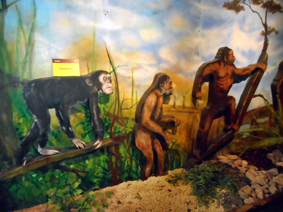 Centrum Neandertalczyka w Chęcinach
