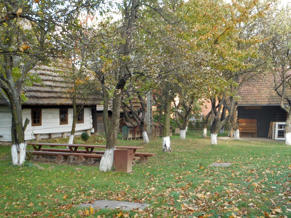 Muzeum Wsi Markowa w Markowej