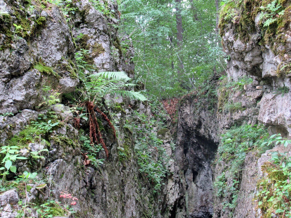 Jaskinia Łokietka w Ojcowskim Parku Narodowym