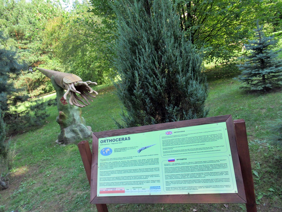 Jurajski Park Dinozaurów – Muzeum Dziejów Ziemi w Nadawkach