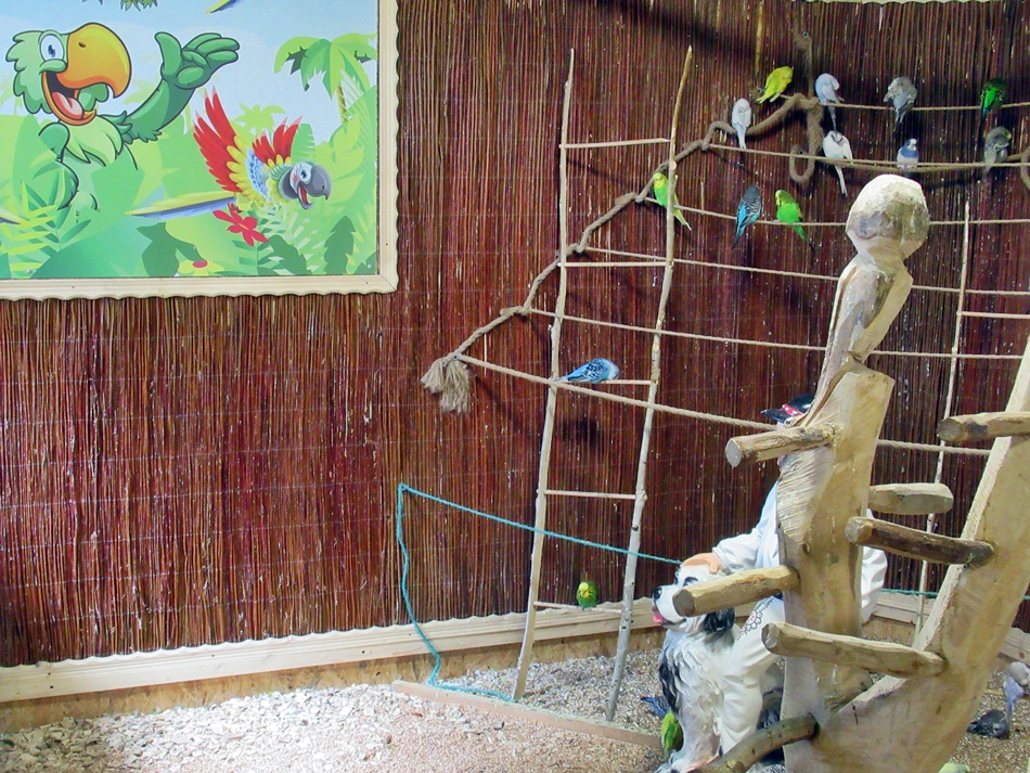 Papugarnia Krupówki w Zakopanem