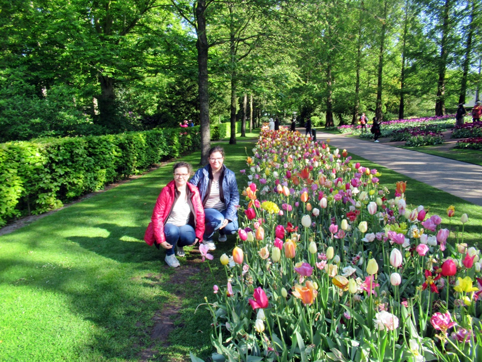 Ogród Keukenhof w Holandii
