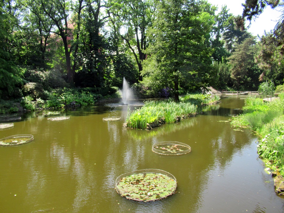 Ogród Botaniczny Uniwersytetu Wrocławskiego we Wrocławiu