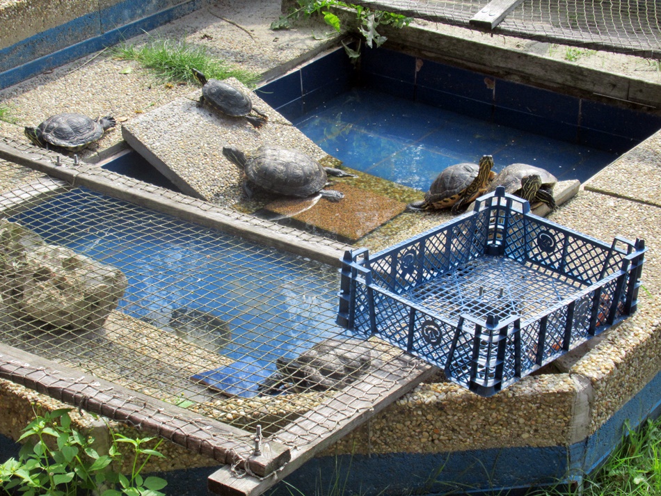 Ogród Bosmana Mini Zoo w Międzywodziu