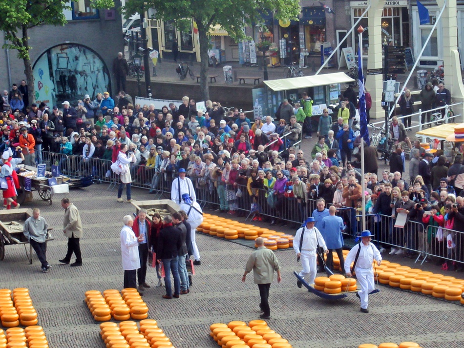 Targ serowy w Alkmaar