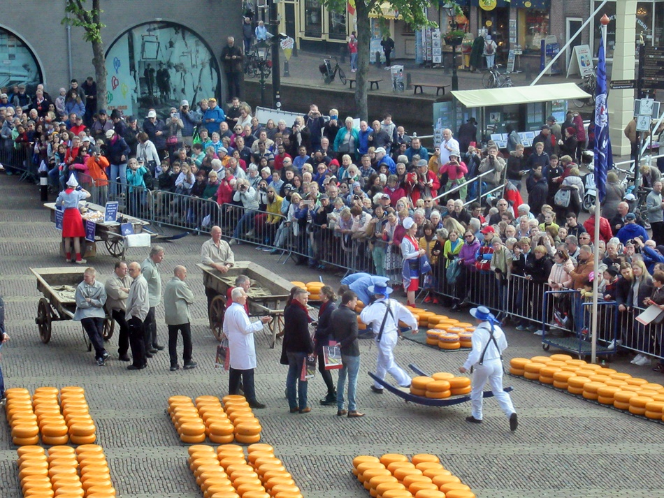 Targ serowy w Alkmaar