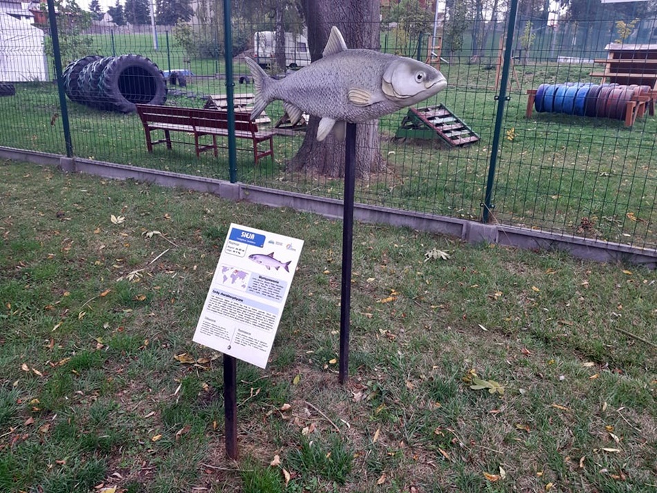 Park Miniatur - Ryby w Powidzu