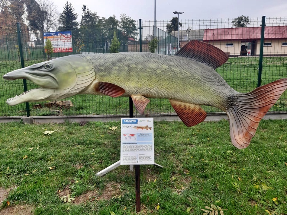 Park Miniatur - Ryby w Powidzu