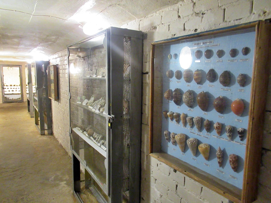 Muzeum Mineralogiczne w Ustce