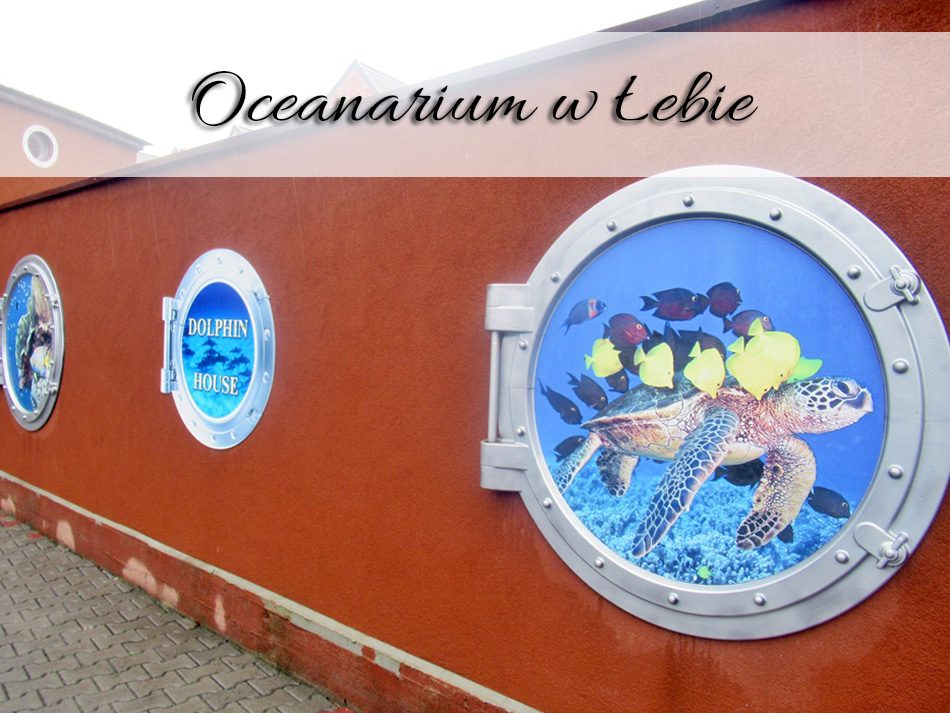 Oceanarium w Łebie
