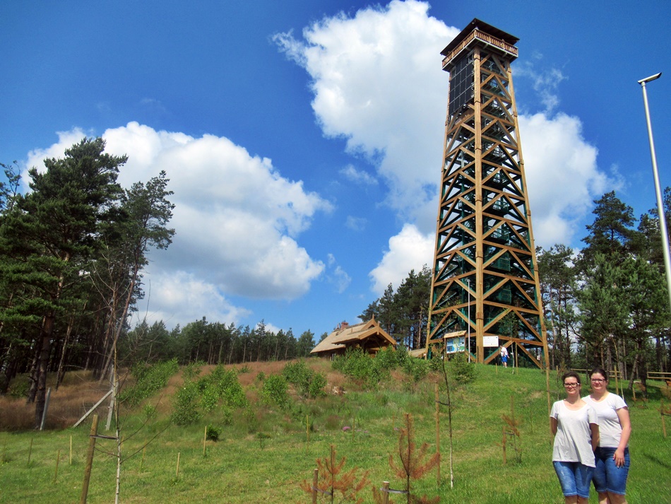 Wieża widokowa w Przytarni