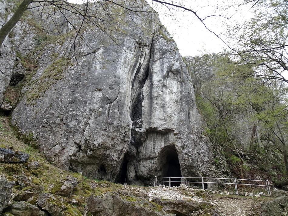 Jaskinia Wierzchowska