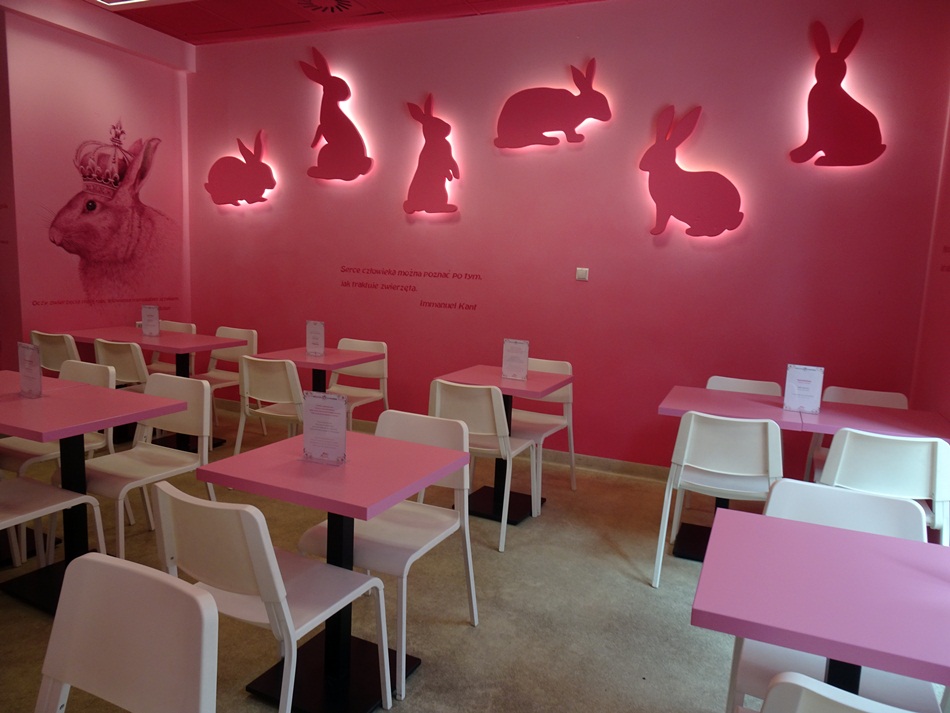 Bunny Cafe Królicza kawiarnia w Krakowie