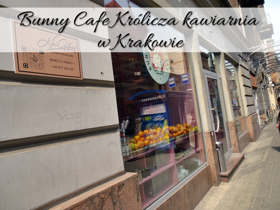 Bunny Cafe Królicza kawiarnia w Krakowie