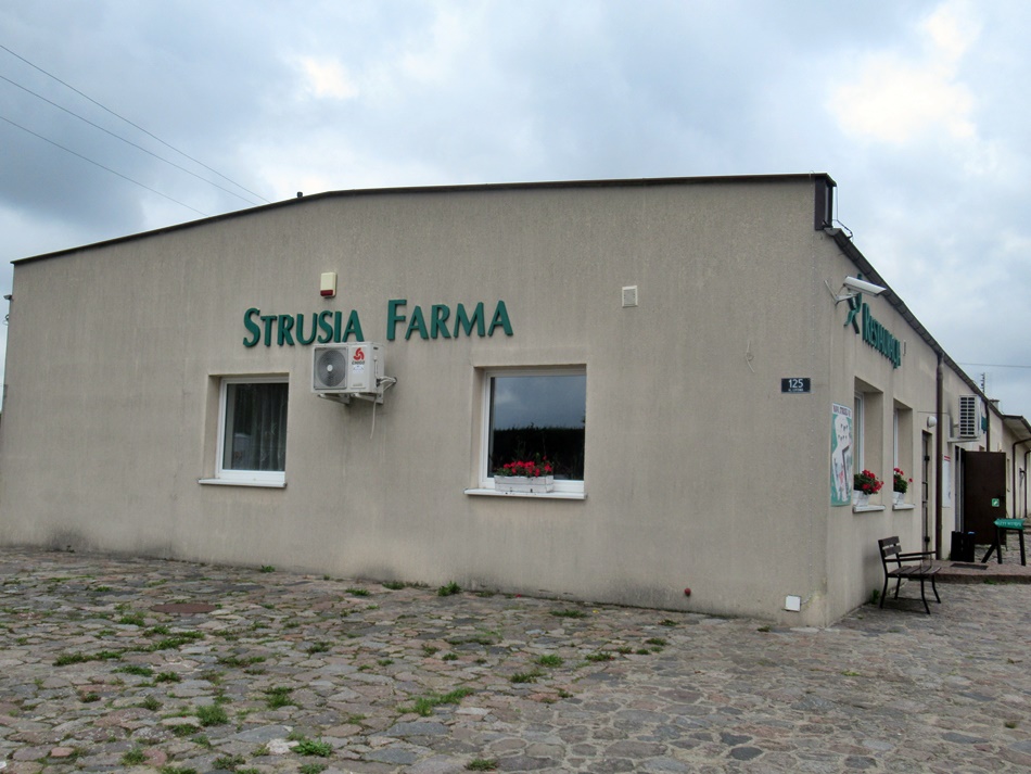 Strusia Farma w Kniewie