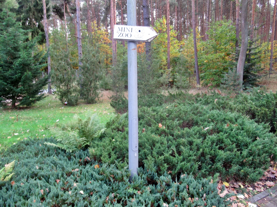 Ogród Botaniczny i Mini ZOO Bajkowa Zagroda w Zielonej Górze