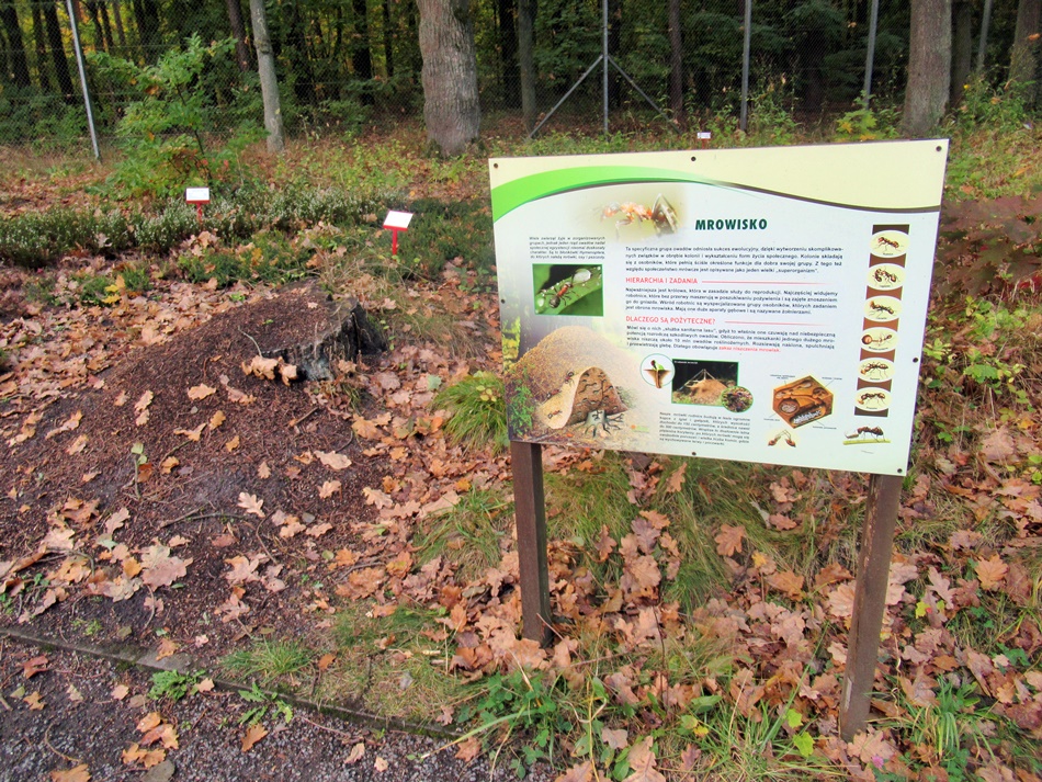 Ogród Botaniczny i Mini ZOO Bajkowa Zagroda w Zielonej Górze